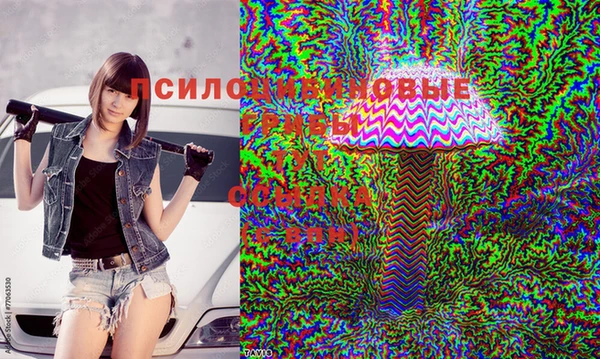 тгк Абинск
