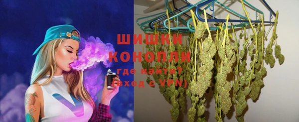 PSILOCYBIN Абдулино