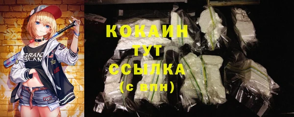 PSILOCYBIN Абаза