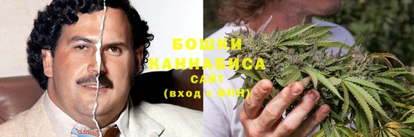 PSILOCYBIN Абдулино
