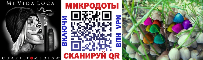 Псилоцибиновые грибы ЛСД  мега рабочий сайт  Холм  где можно купить наркотик 